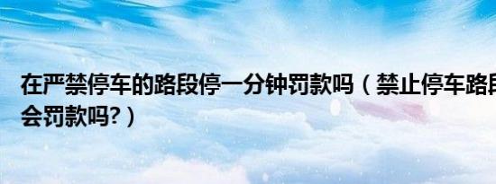 在严禁停车的路段停一分钟罚款吗（禁止停车路段停了10秒会罚款吗?）