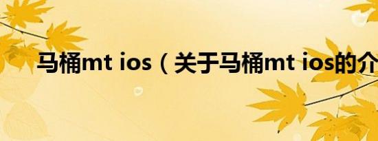 马桶mt ios（关于马桶mt ios的介绍）