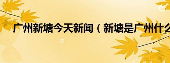 广州新塘今天新闻（新塘是广州什么区）