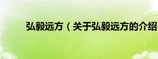 弘毅远方（关于弘毅远方的介绍）