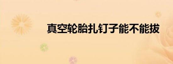 真空轮胎扎钉子能不能拔