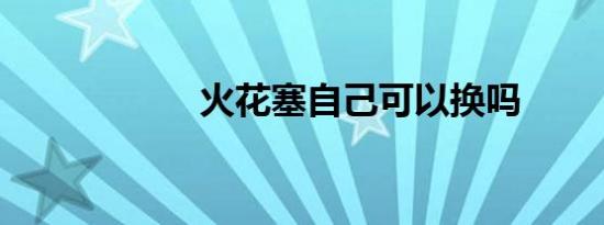 火花塞自己可以换吗