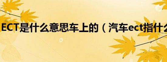 ECT是什么意思车上的（汽车ect指什么意思）