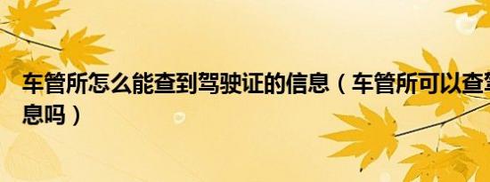 车管所怎么能查到驾驶证的信息（车管所可以查驾驶证的信息吗）