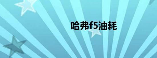 哈弗f5油耗