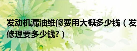 发动机漏油维修费用大概多少钱（发动机漏油修理要多少钱?）