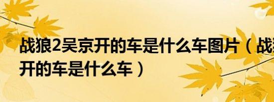 战狼2吴京开的车是什么车图片（战狼2吴京开的车是什么车）