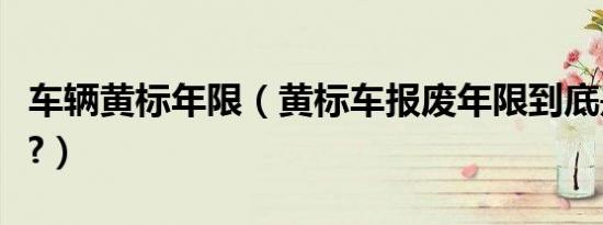 车辆黄标年限（黄标车报废年限到底是多少年?）