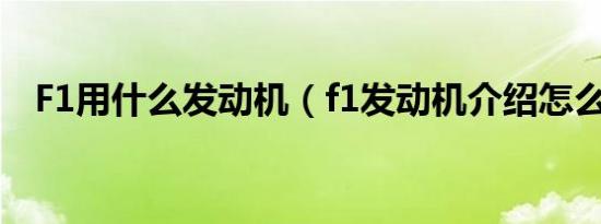 F1用什么发动机（f1发动机介绍怎么样?）