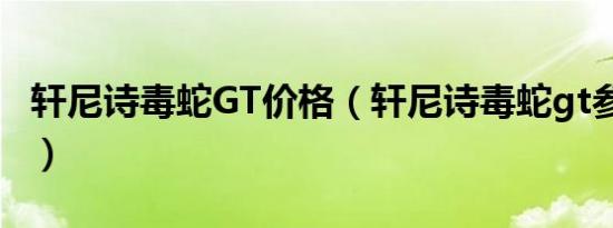 轩尼诗毒蛇GT价格（轩尼诗毒蛇gt参数多少?）