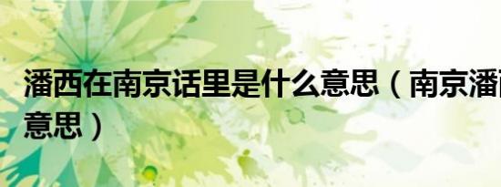 潘西在南京话里是什么意思（南京潘西是什么意思）