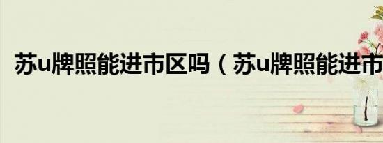 苏u牌照能进市区吗（苏u牌照能进市区吗）