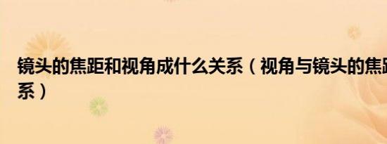 镜头的焦距和视角成什么关系（视角与镜头的焦距成什么关系）