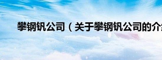 攀钢钒公司（关于攀钢钒公司的介绍）