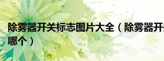 除雾器开关标志图片大全（除雾器开关标志是哪个）