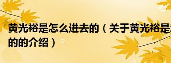 黄光裕是怎么进去的（关于黄光裕是怎么进去的的介绍）