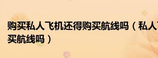 购买私人飞机还得购买航线吗（私人飞机需要买航线吗）
