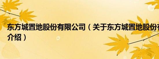 东方城置地股份有限公司（关于东方城置地股份有限公司的介绍）