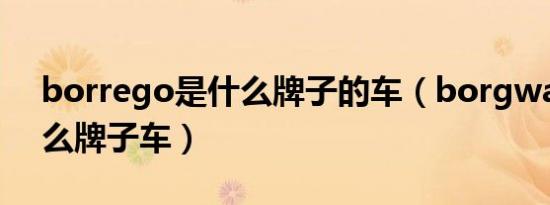 borrego是什么牌子的车（borgward是什么牌子车）