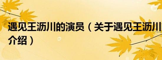 遇见王沥川的演员（关于遇见王沥川的演员的介绍）