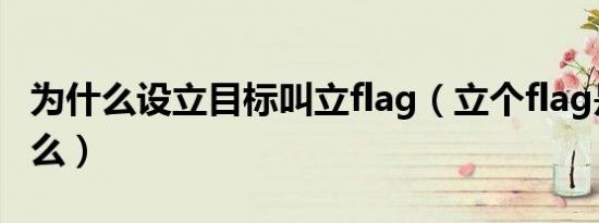 为什么设立目标叫立flag（立个flag是立目标么）