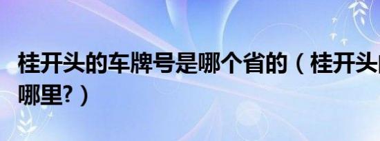 桂开头的车牌号是哪个省的（桂开头的车牌是哪里?）