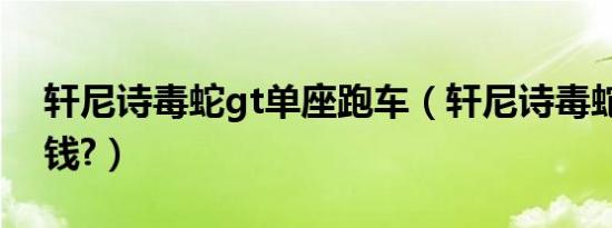 轩尼诗毒蛇gt单座跑车（轩尼诗毒蛇gt多少钱?）