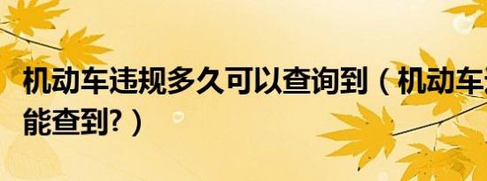 机动车违规多久可以查询到（机动车违规多久能查到?）