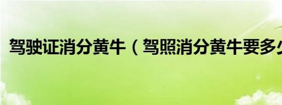 驾驶证消分黄牛（驾照消分黄牛要多少钱?）