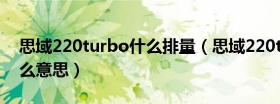 思域220turbo什么排量（思域220turbo什么意思）
