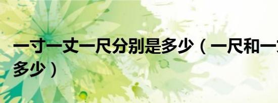 一寸一丈一尺分别是多少（一尺和一丈分别是多少）