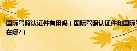 国际驾照认证件有用吗（国际驾照认证件和国际驾照的区别在哪?）