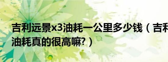 吉利远景x3油耗一公里多少钱（吉利远景x3油耗真的很高嘛?）