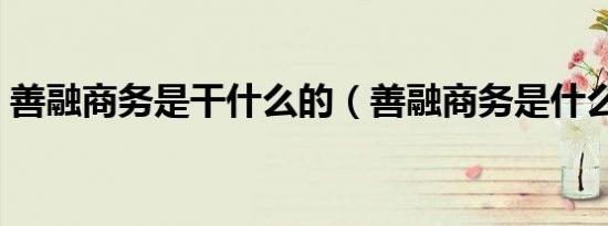 善融商务是干什么的（善融商务是什么意思）