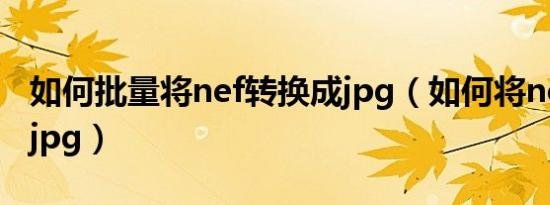 如何批量将nef转换成jpg（如何将nef转换成jpg）