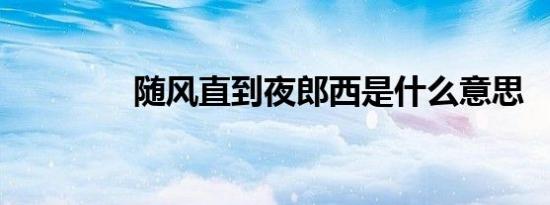 随风直到夜郎西是什么意思