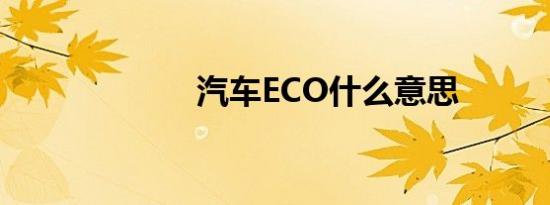 汽车ECO什么意思