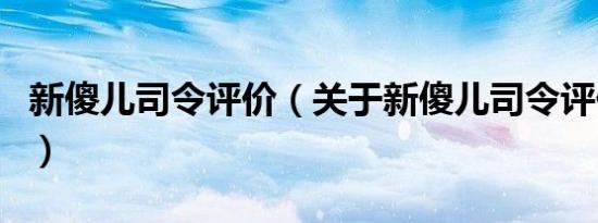 新傻儿司令评价（关于新傻儿司令评价的介绍）