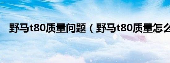 野马t80质量问题（野马t80质量怎么样?）