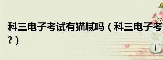 科三电子考试有猫腻吗（科三电子考能作假吗?）