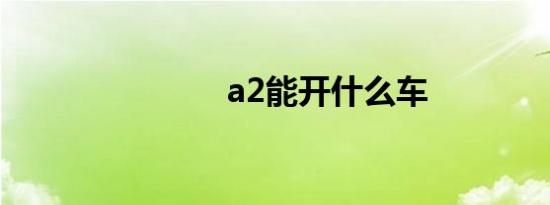 a2能开什么车