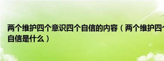 两个维护四个意识四个自信的内容（两个维护四个意识四个自信是什么）