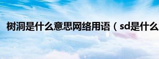 树洞是什么意思网络用语（sd是什么意思）