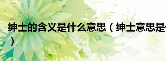 绅士的含义是什么意思（绅士意思是什么意思）