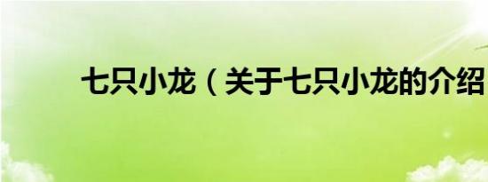 七只小龙（关于七只小龙的介绍）