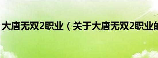大唐无双2职业（关于大唐无双2职业的介绍）