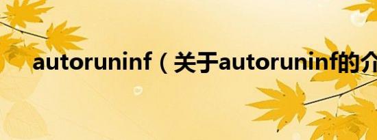 autoruninf（关于autoruninf的介绍）