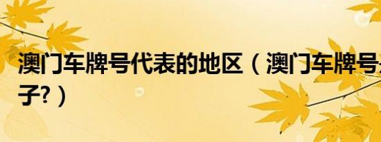 澳门车牌号代表的地区（澳门车牌号是什么样子?）