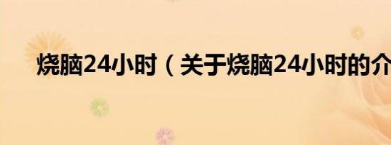 烧脑24小时（关于烧脑24小时的介绍）