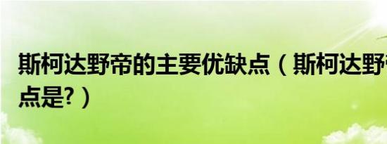 斯柯达野帝的主要优缺点（斯柯达野帝最大缺点是?）
